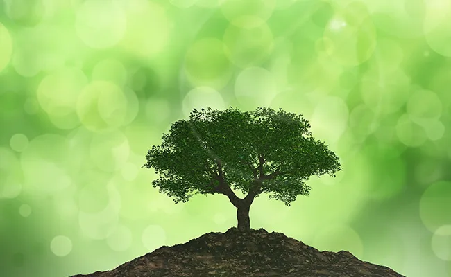 保护生物多样性